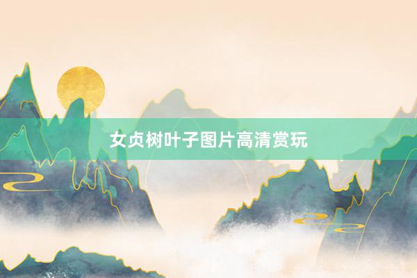 女贞树叶子图片高清赏玩