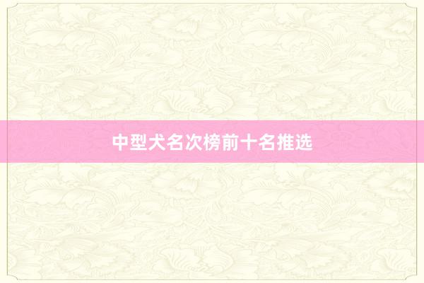 中型犬名次榜前十名推选