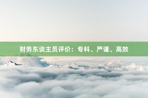 财务东谈主员评价：专科、严谨、高效