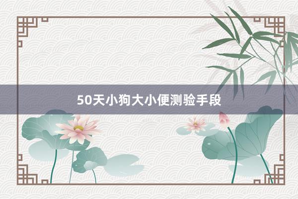 50天小狗大小便测验手段